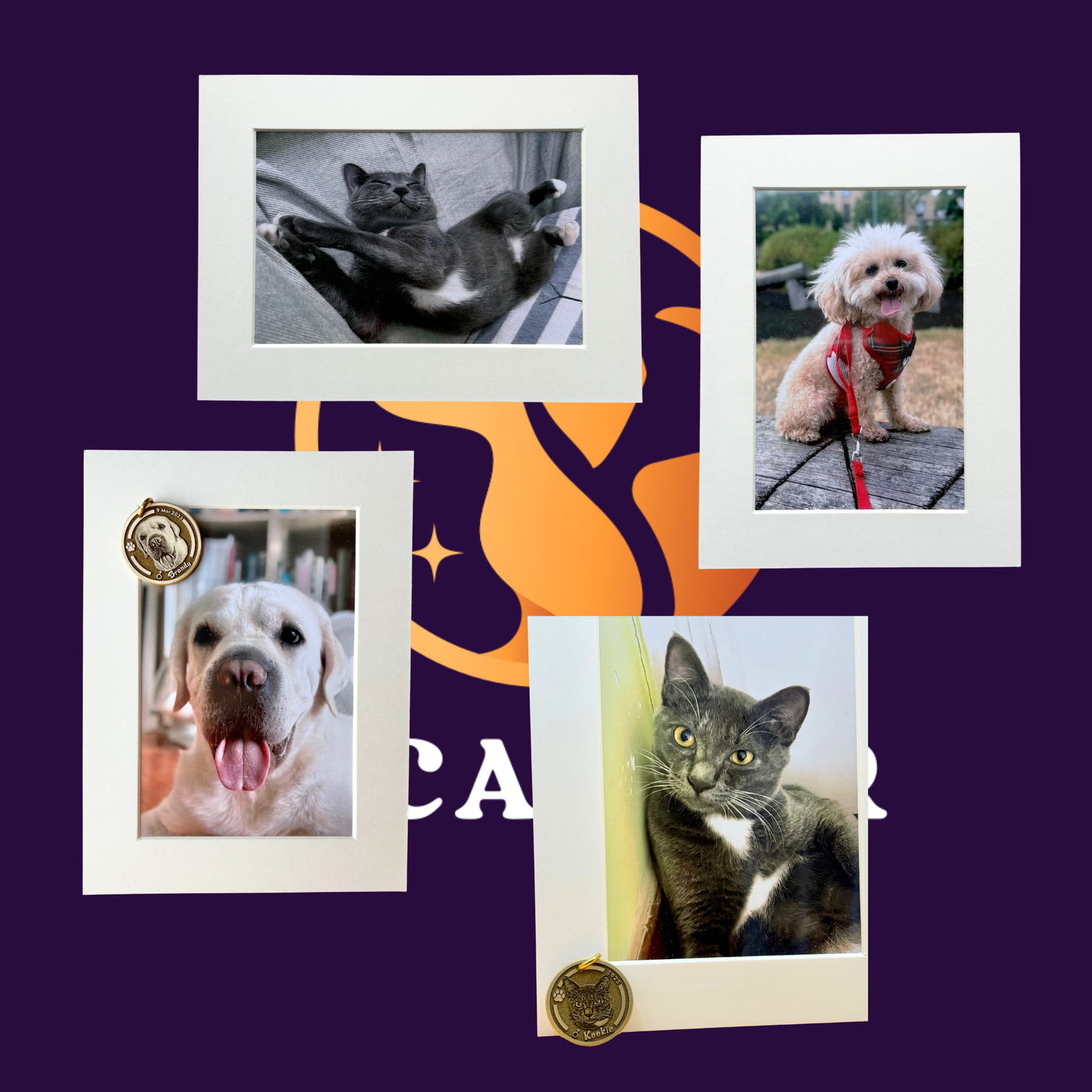 Pet Portrait Print (4R, 100×148mm) with frame (192×142mm)