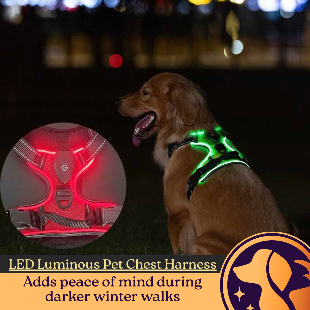 LED Luminous Pet Chest Harness Safety Belt Pet Vest