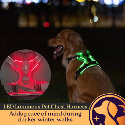 LED Luminous Pet Chest Harness Safety Belt Pet Vest