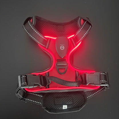 LED Luminous Pet Chest Harness Safety Belt Pet Vest