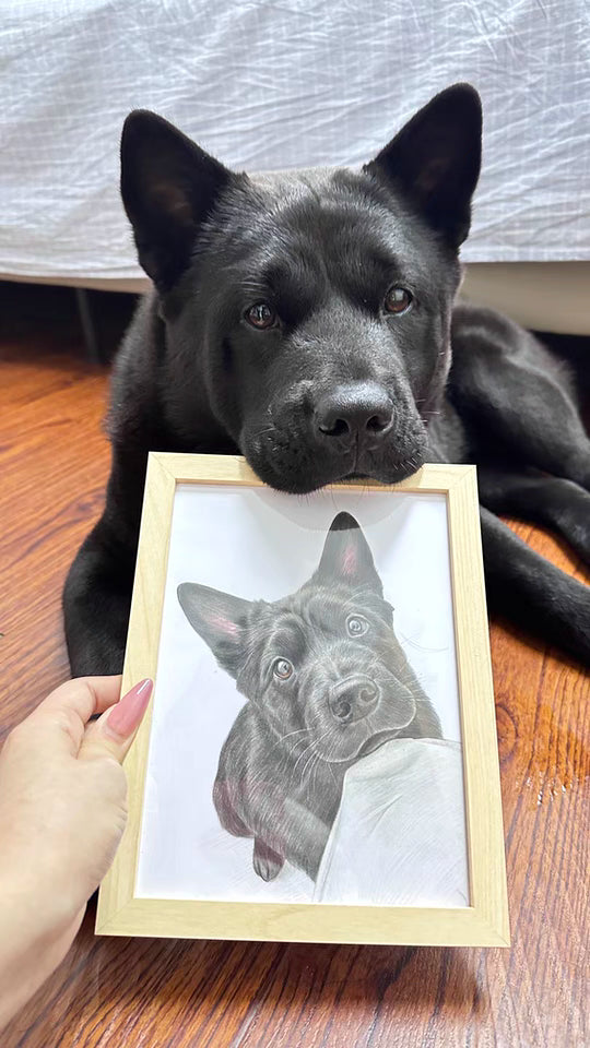 Custom Hand-Drawn Pet Portrait – Personalized Artwork from Your Pet’s Photo