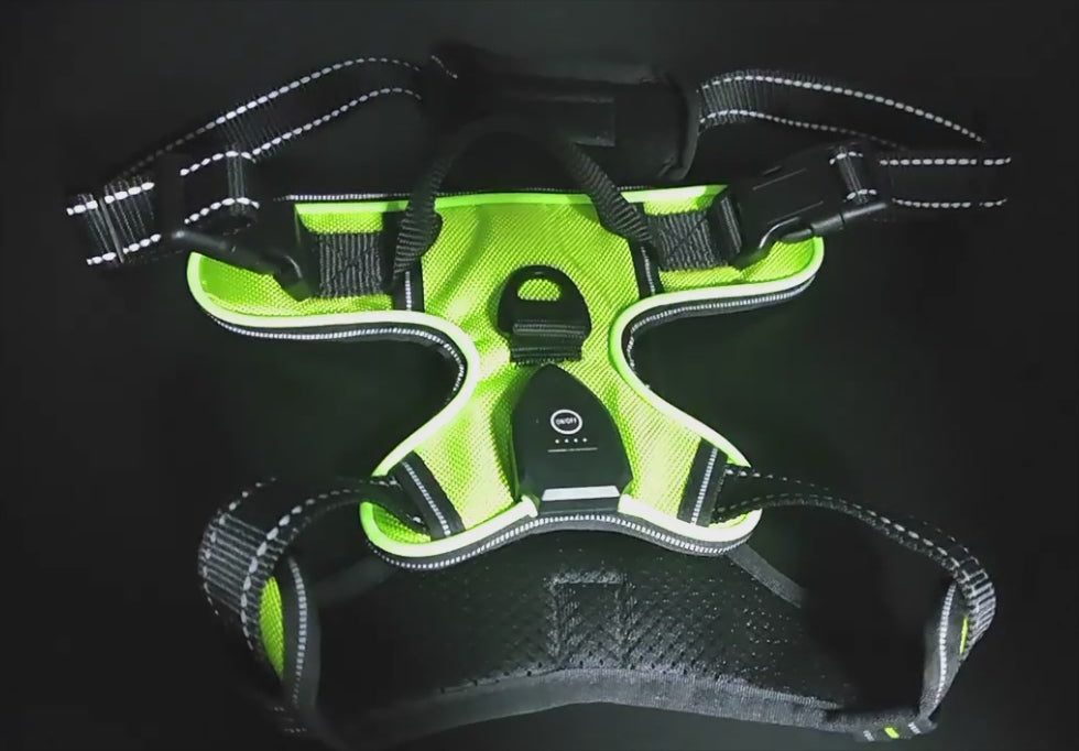 LED Luminous Pet Chest Harness Safety Belt Pet Vest