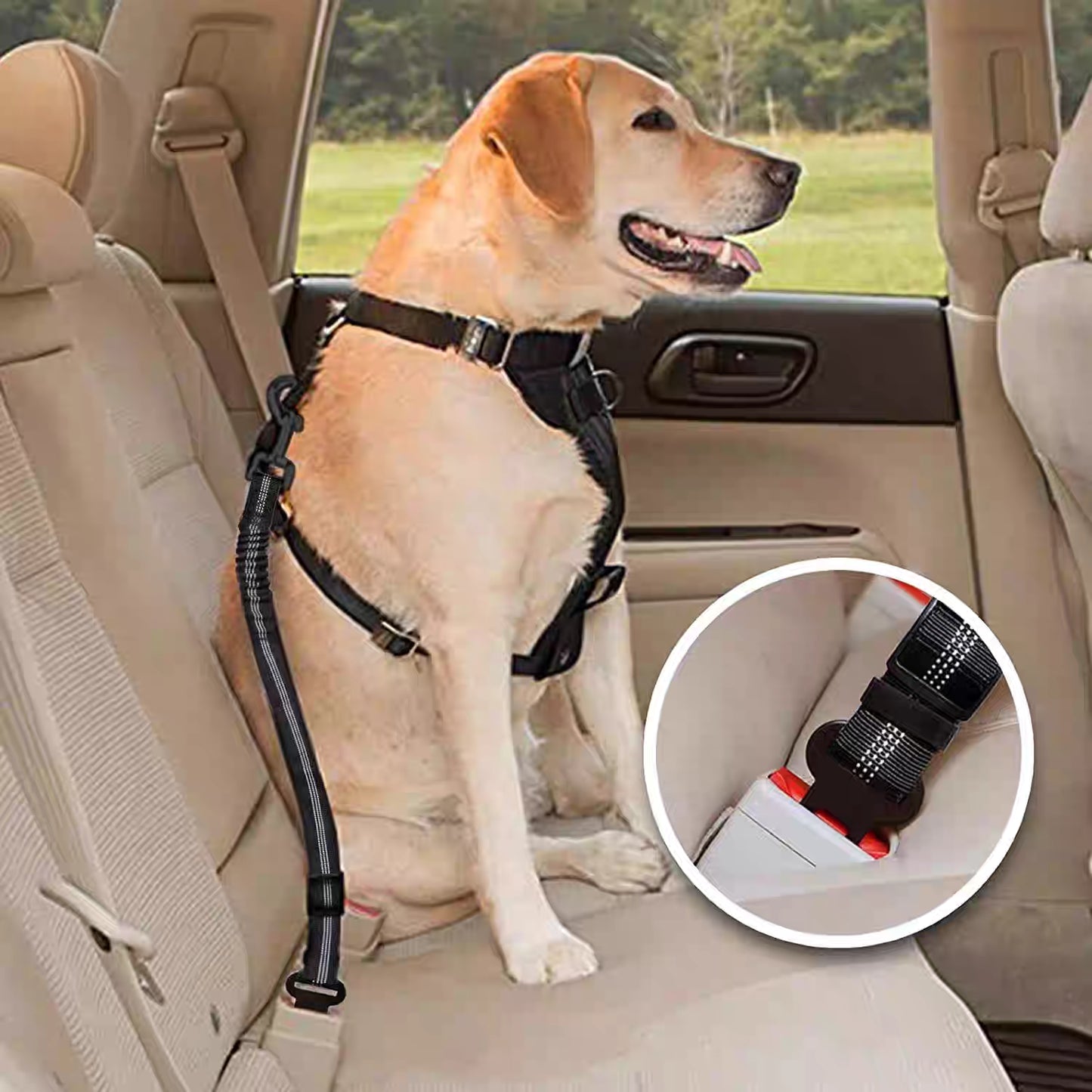Adjustable Dog Car Seat Belt Safety Leash – Pet Safety Restraint with Universal Seatbelt Buckle