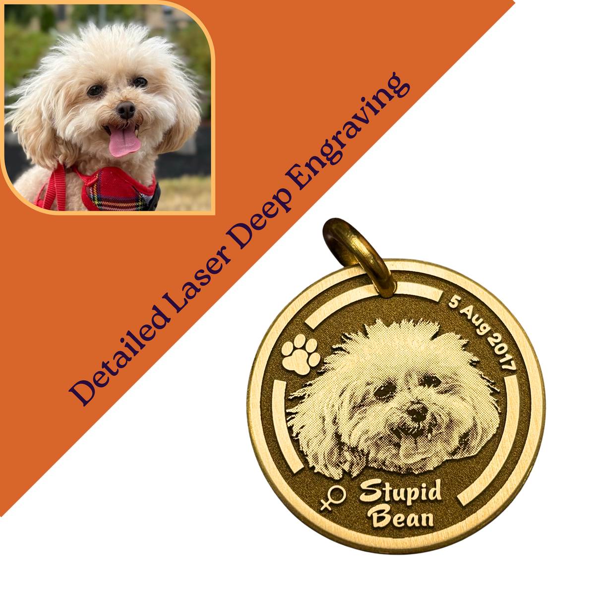 Pet ID Tag/Keychain - Customize Detailed Laser Deep Engraving